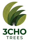 3Cho Trees